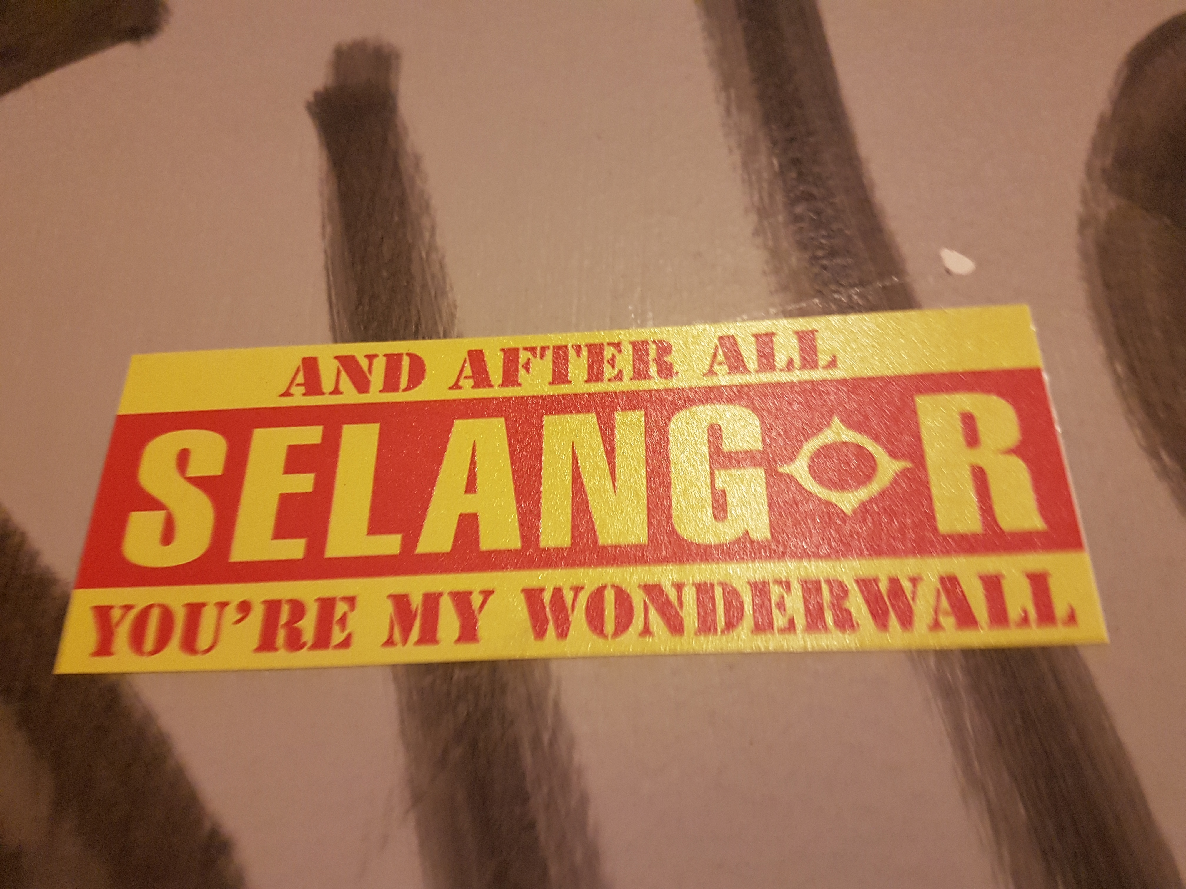 Selangor ultras