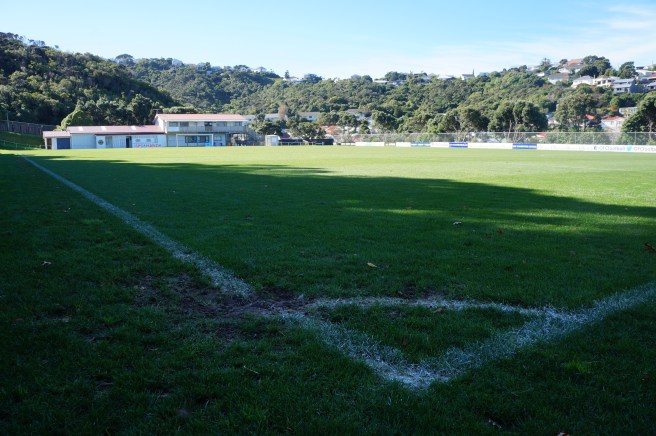 Team Wellington ground