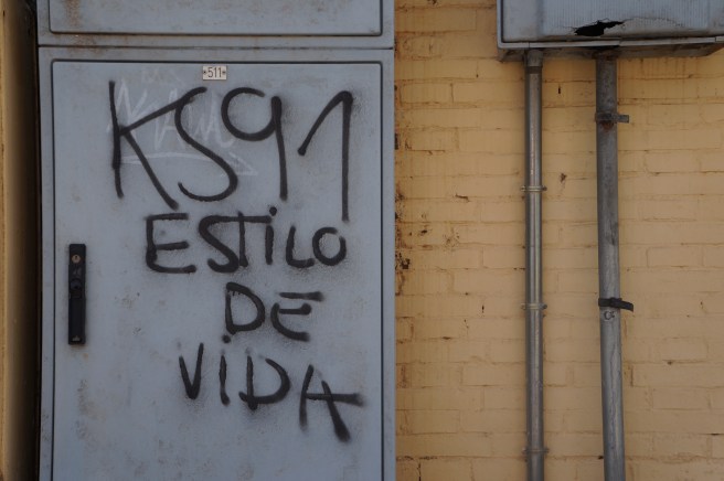 Kolectivo Sur estilo de vida