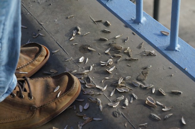 Sunflower seeds Spanish Football