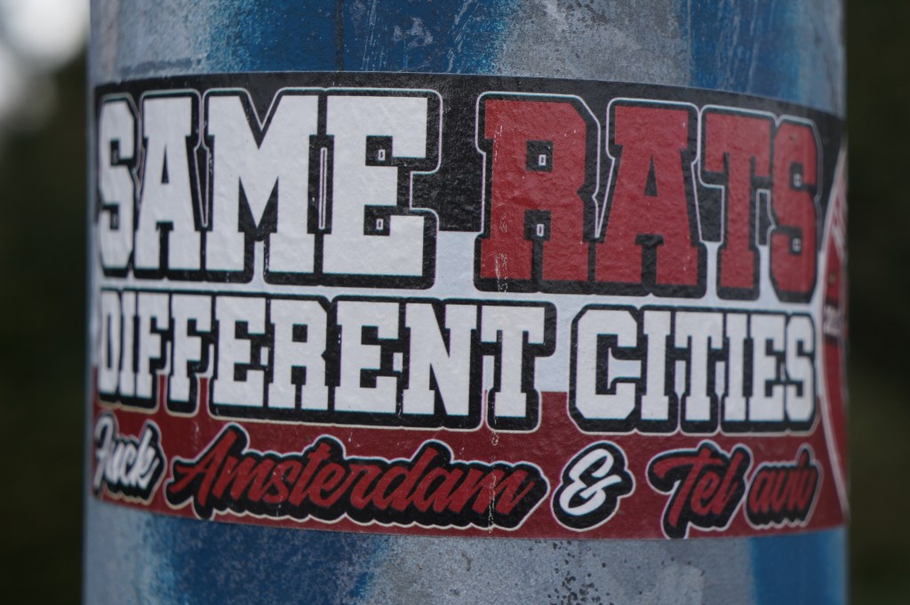 Az alkmaar fans ajax