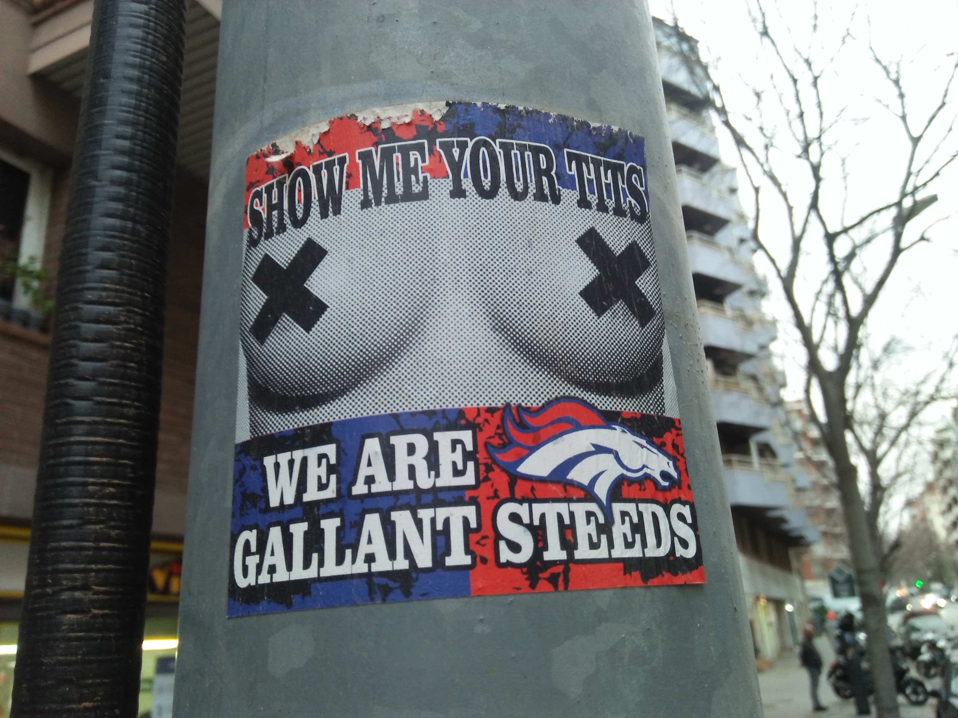 Denver broncos fan sticker